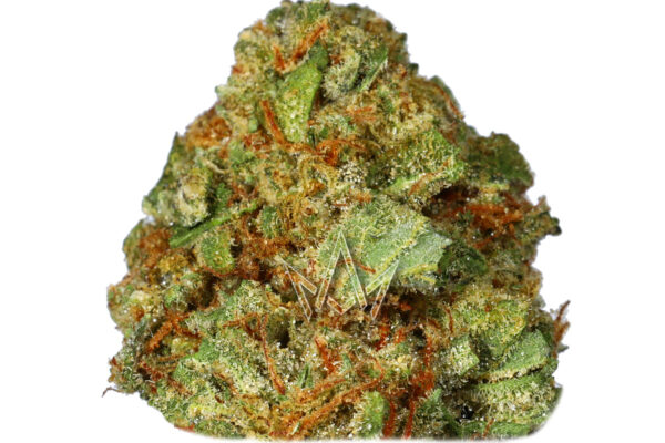 Close-up of a Grape Cartel Strain bud, showcasing dense, green buds with orange pistils and a coating of crystalline trichomes.