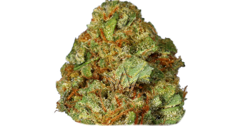 Grape Cartel Strain: The Perfect Blend of Flavor & Relaxation