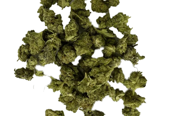 Pile of Chyll Flower Weed, featuring dried green cannabis buds on a plain background.