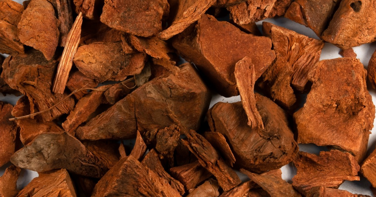 Close-up of dried reddish-brown cocolmeca bark pieces, showcasing their rough texture and fibrous appearance.