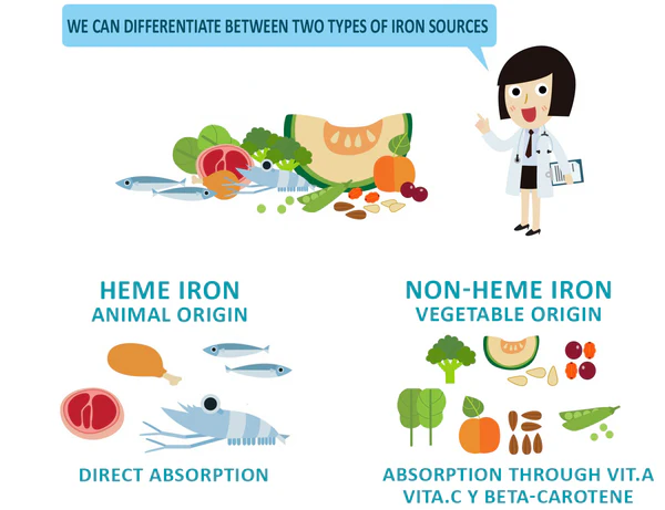 Infographic explaining the two types of iron sources. On the left, 'Heme Iron' from animal origin is shown with illustrations of meat, fish, and seafood, labeled as 'Direct Absorption.' On the right, 'Non-Heme Iron' from vegetable origin features images of leafy greens, fruits, and vegetables, with absorption indicated through vitamin A, vitamin C, and beta-carotene. A cartoon doctor points to the information.