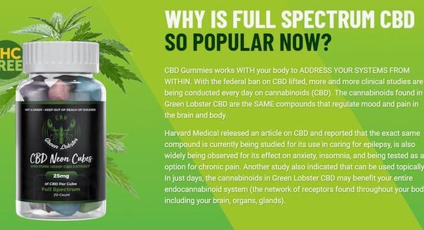 Promotional image for Green Lobster CBD Gummies Neon Cubes against a green background. The bottle contains 25mg full-spectrum CBD per cube and is labeled THC-free. The accompanying text explains the popularity of full-spectrum CBD, highlighting its benefits for addressing systems within the body, regulating mood and pain, and supporting the endocannabinoid system. It references studies on CBD's potential for treating epilepsy, insomnia, chronic pain, and topical applications.