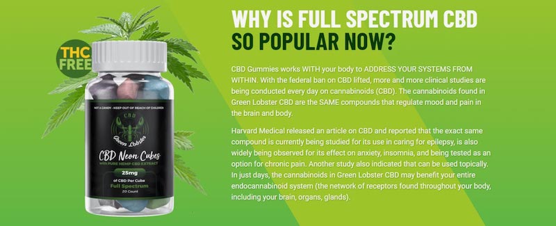 Promotional image for Green Lobster CBD Gummies Neon Cubes against a green background. The bottle contains 25mg full-spectrum CBD per cube and is labeled THC-free. The accompanying text explains the popularity of full-spectrum CBD, highlighting its benefits for addressing systems within the body, regulating mood and pain, and supporting the endocannabinoid system. It references studies on CBD's potential for treating epilepsy, insomnia, chronic pain, and topical applications.