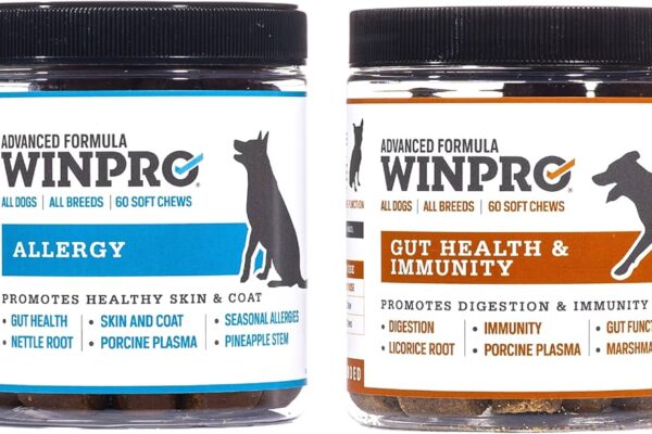 Two jars of WinPro Allergy Advanced Formula soft chews for dogs. The left jar is labeled 'Allergy,' promoting healthy skin and coat with ingredients such as nettle root, porcine plasma, and pineapple stem. The right jar is labeled 'Gut Health & Immunity,' supporting digestion and immunity with ingredients like licorice root, marshmallow root, and porcine plasma. Both jars are suitable for all dogs and all breeds, containing 60 soft chews each.