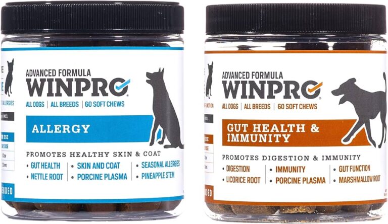 WinPro Allergy: Your Secret to a Sneeze-Free Life