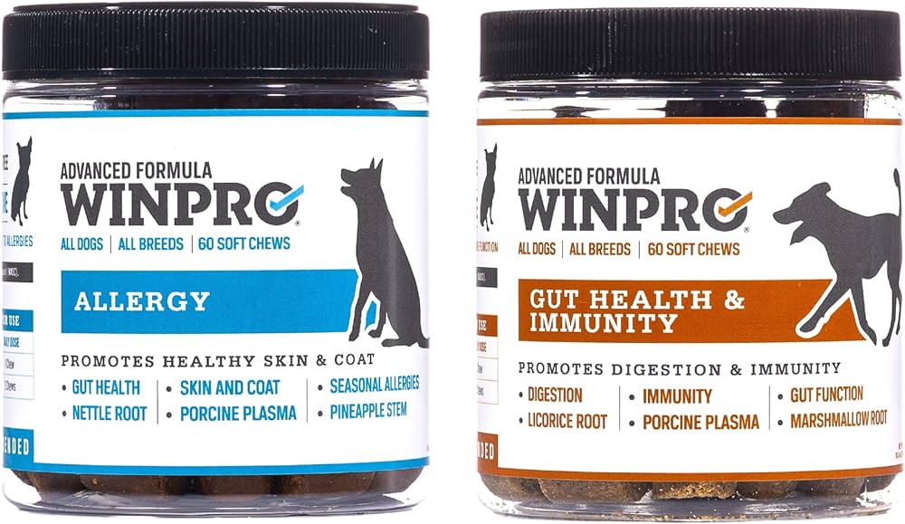 Two jars of WinPro Allergy Advanced Formula soft chews for dogs. The left jar is labeled 'Allergy,' promoting healthy skin and coat with ingredients such as nettle root, porcine plasma, and pineapple stem. The right jar is labeled 'Gut Health & Immunity,' supporting digestion and immunity with ingredients like licorice root, marshmallow root, and porcine plasma. Both jars are suitable for all dogs and all breeds, containing 60 soft chews each.